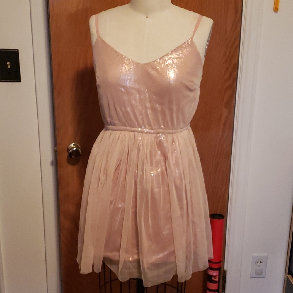 NWT rose sequin and tulle dress